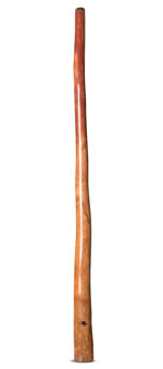 Tristan O'Meara Didgeridoo (TM325)